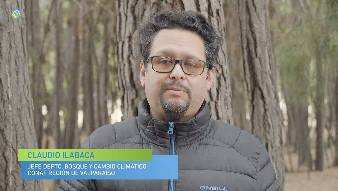 #RostrosGEFMontaña 8: Beneficios y Perspectivas de la Ordenación Forestal