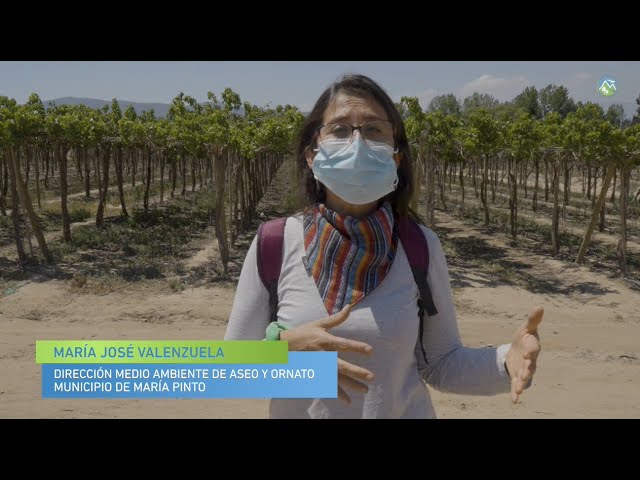 #RostrosGEFMontaña 11: Importancia de aves rapaces y murciélagos en el control de plagas.