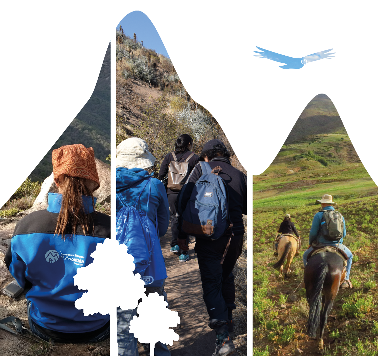 Libro serie de experiencias destacadas del proyecto GEF Corredores Biológicos de Montaña